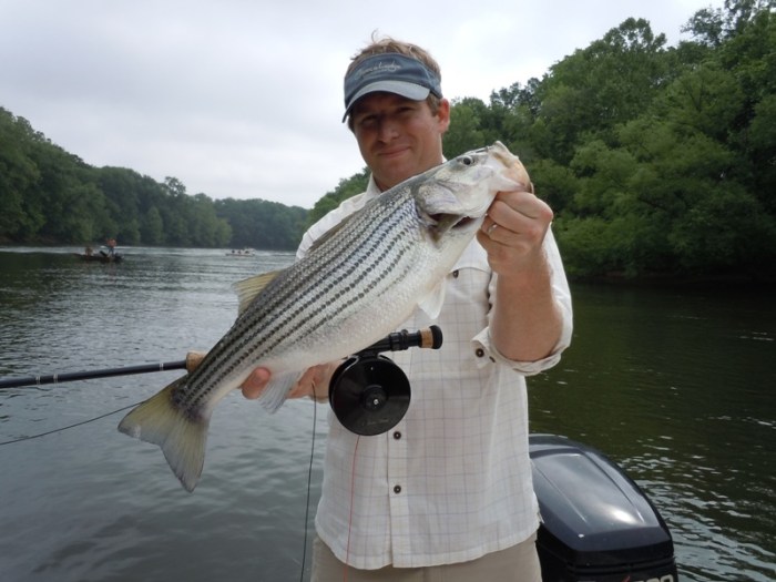 Upper roanoke river game land