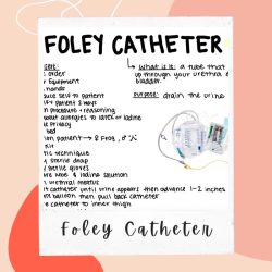 Nursing notes charting urinary catheter documentation example